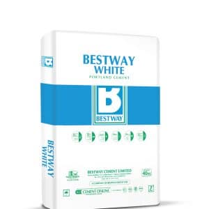 Bestway White